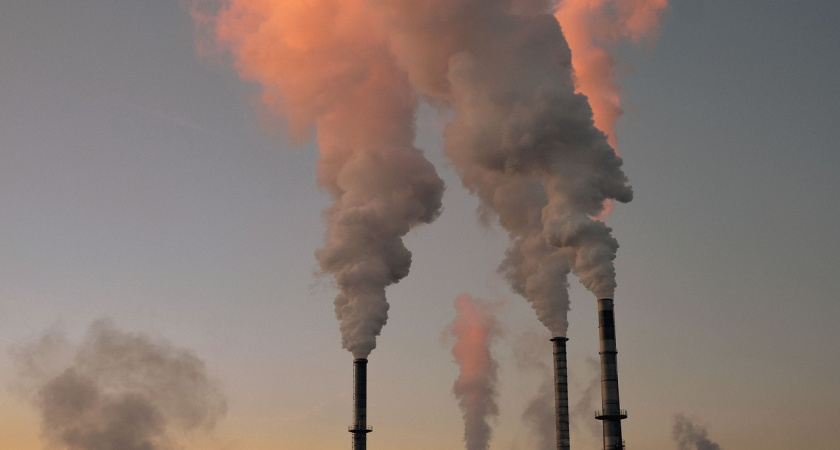 Роспотребнадзор Мордовии проверил птицефабрики на загрязнение воздуха