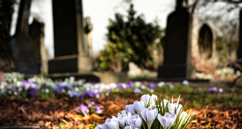 В Мордовии директора ритуальной организации оштрафовали за неубранное кладбище