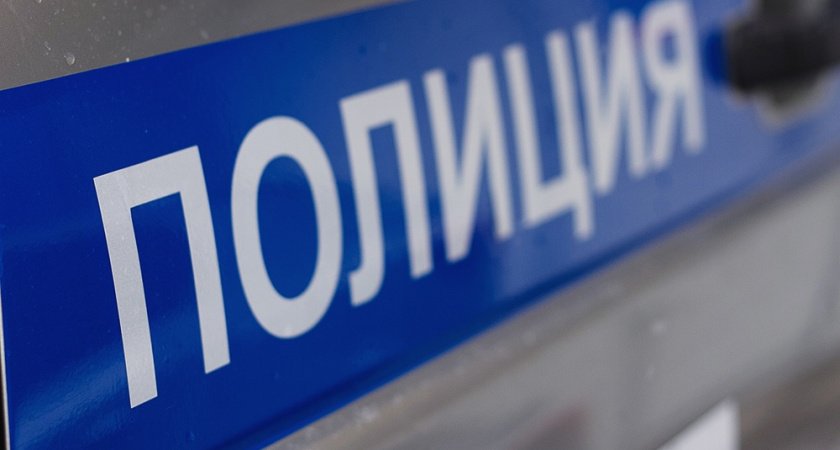 Жителя Саранска задержали за кражу у пассажира поезда «Томск — Адлер»