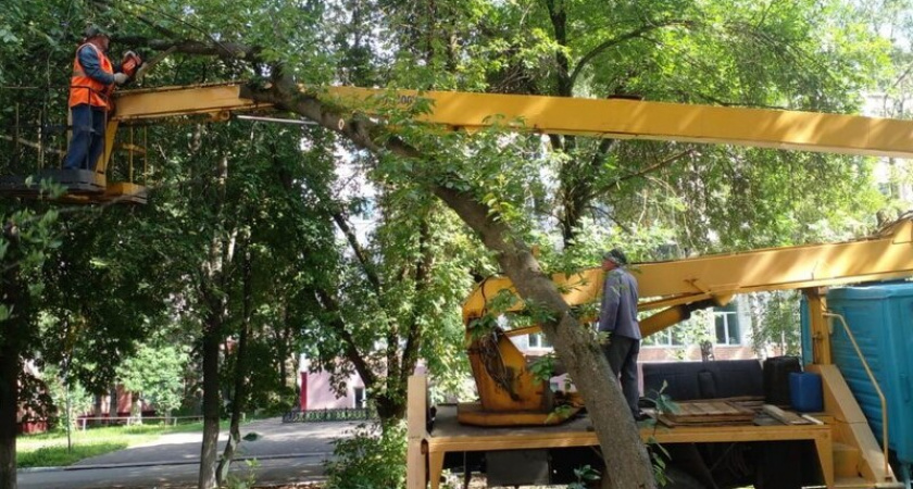 Улицы Саранска очищают от опасных и сухих деревьев