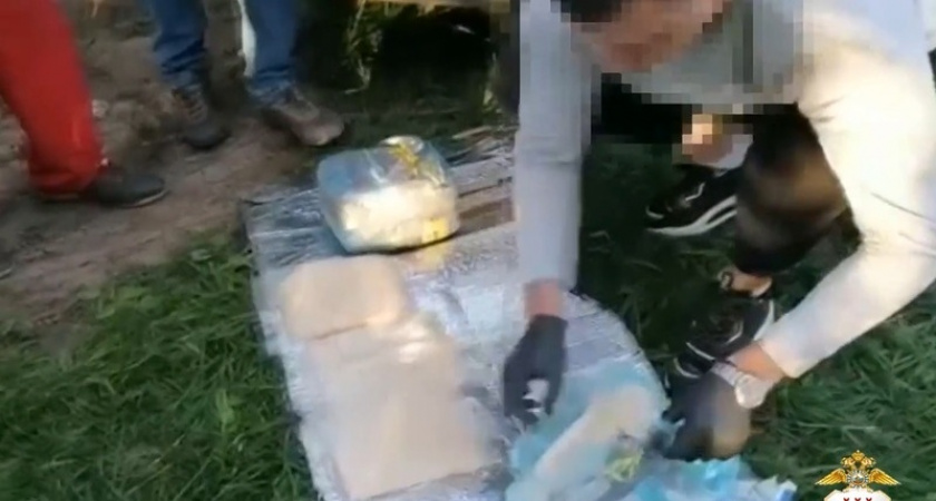 В Мордовии осудят воронежца за попытку сбыта более 15 кг наркотиков