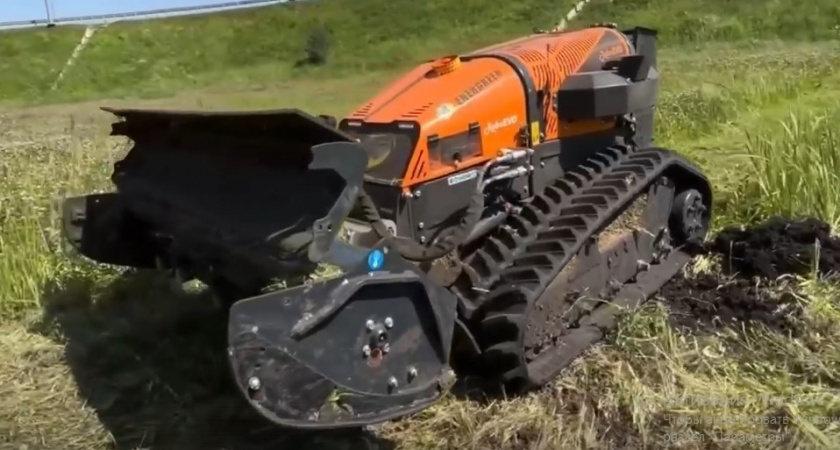 В Мордовии борщевик будет уничтожать робот-газонокосильщик