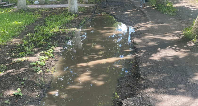 Жители Саранска пожаловались на огромные ямы с лужами на тротуаре