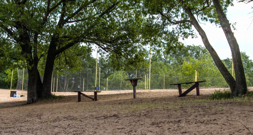 С 5 по 8 августа в Мордовии ожидается аномальная жара