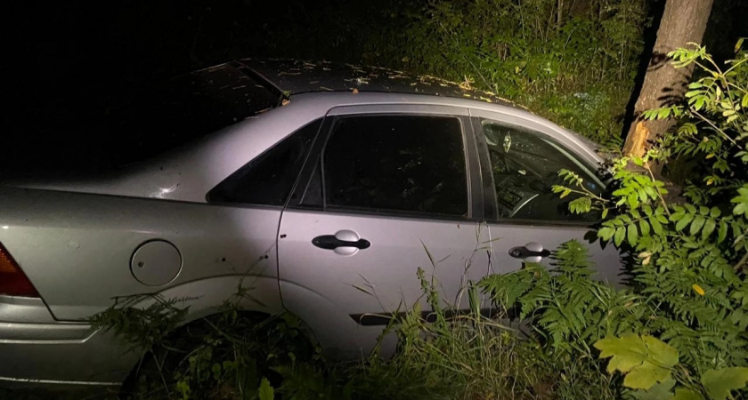 На въезде в село Сивень в кювет слетела иномарка