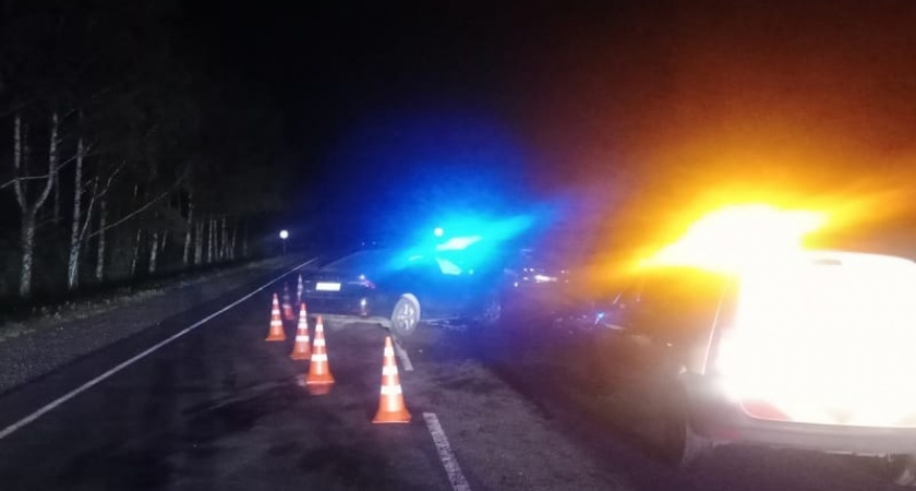 В Старошайговском районе Мордовии в ДТП с Skoda пострадали четыре человека