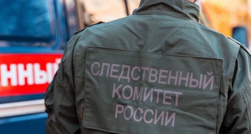 Глава СК Бастрыкин поручил провести проверку из-за нападения на школьника в Саранске