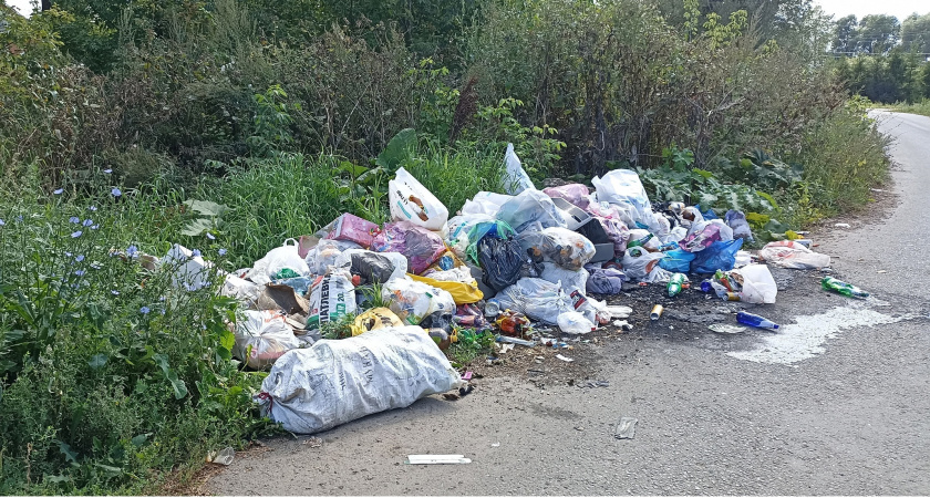 Жители Мордовии возмутились свалкой, которая образовалась после сожжения контейнеров