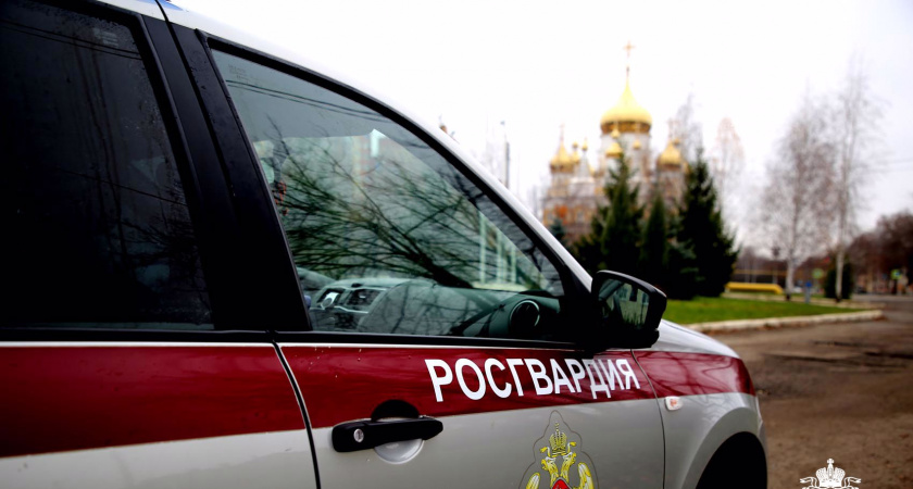 В Мордовии за неделю сотрудники Росгвардии изъяли 11 единиц оружия