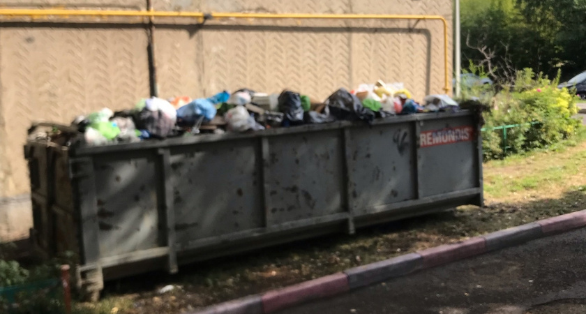 На улице Энгельса в Саранске вторую неделю не вывозят мусор