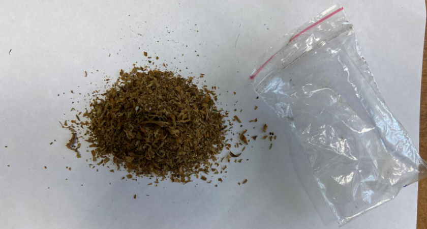 В Краснослободском районе Мордовии за хранение наркотиков осудили 22-летнего жителя