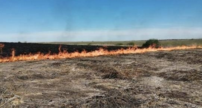 С 7 по 9 сентября в Мордовии объявлен 4 класс пожароопасности лесов