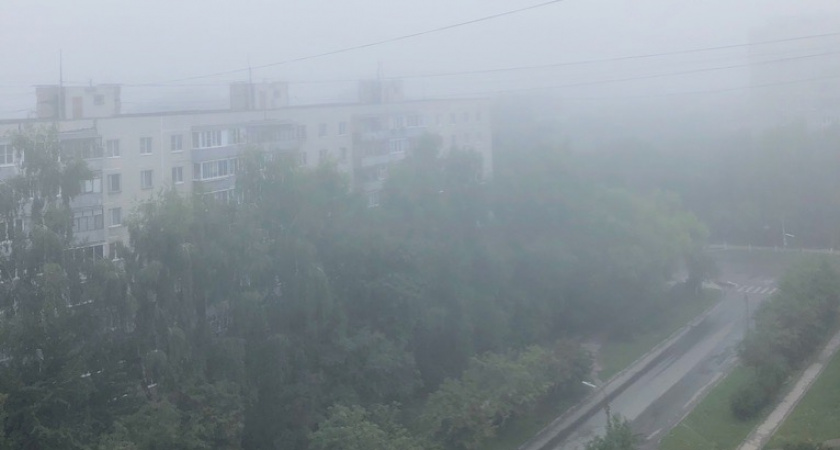 13 сентября в Мордовии ожидаются дождь, туман и +19