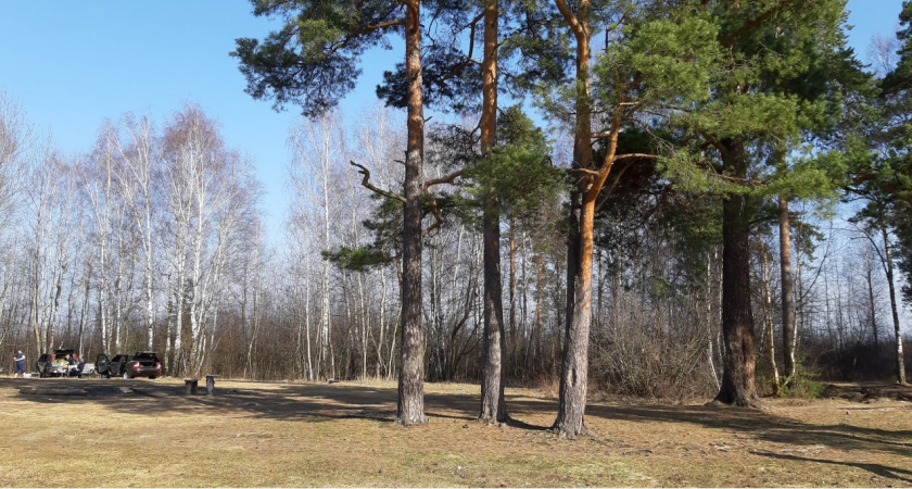 Минлесхоз Мордовии продлил запрет на посещение лесов до 20 сентября