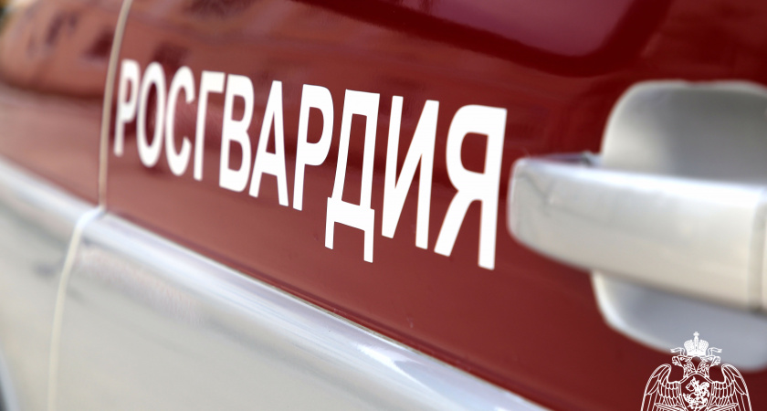 В Росгвардии Мордовии рассказали о сбыте невостребованного оружия