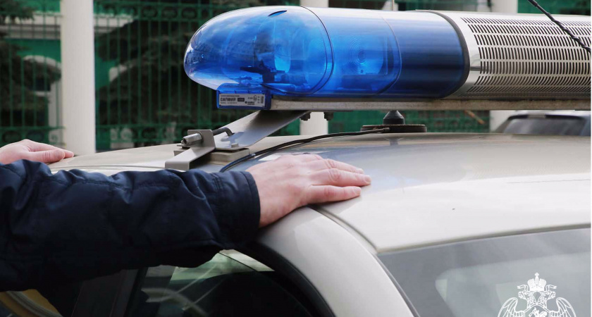 В Мордовии росгвардейцы задержали находящегося в розыске 64-летнего мужчину