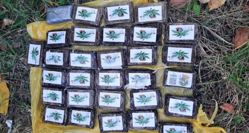 Полицейские Мордовии задержали жителей Вологды с крупной партией гашиша в 2,8 кг