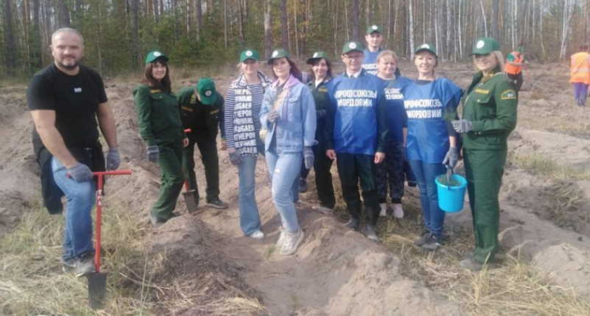 Профсоюзы Мордовии в рамках экологической акции «Сохраним лес» высадили 4,5 тысячи саженцев сосны