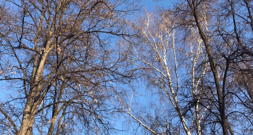 6 октября в Мордовии ожидается дождь и +13