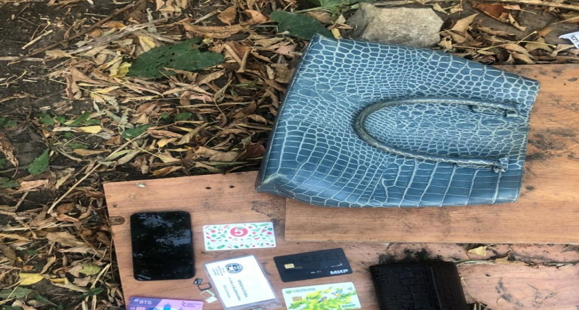 В Саранске полицейские задержали напавшего на 60-летнюю пенсионерку рецидивиста