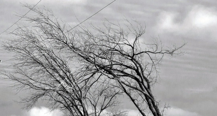 МЧС Мордовии опубликовало метеопредупреждение 7 октября