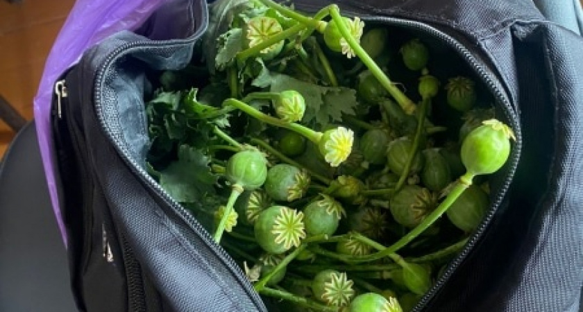 Житель поселка Зубова Поляна обвиняется в незаконном хранении наркотиков