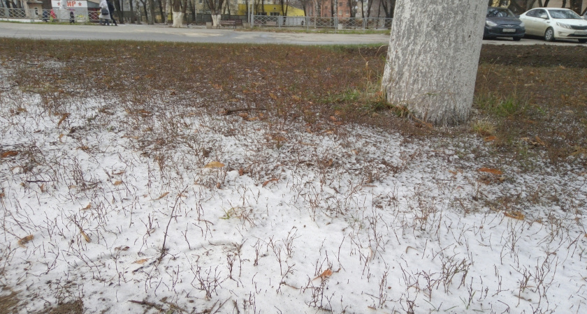 10 октября в Мордовии ожидается мокрый снег и +7