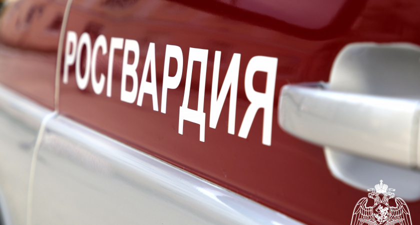 В Саранске росгвардейцы задержали избившего сожительницу дебошира