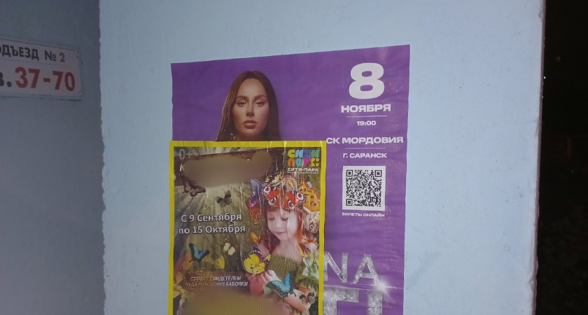 Жители Саранска пожаловались на огромное количество рекламных плакатов 