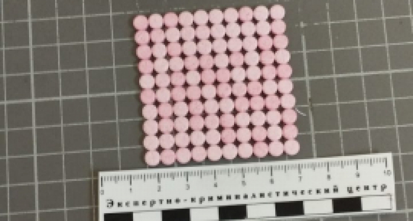 В Мордовии заключенного осудили второй раз за незаконный оборот запрещенных веществ