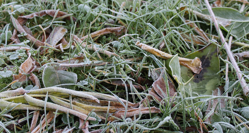 20 октября в Мордовии ожидается мокрый снег и +7