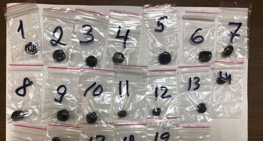 Жителя Ульяновска осудят в Мордовии за мефедрон, метадон и гашиш