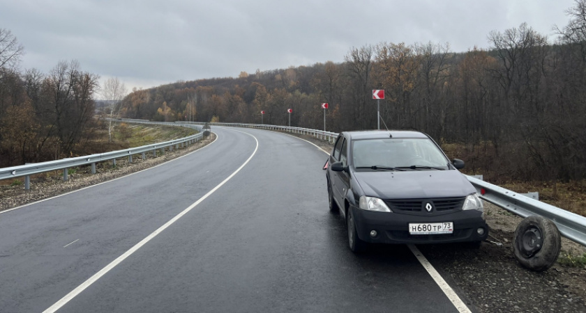 В Большеберезниковском районе в ДТП с Renault пострадала 73-летняя женщина