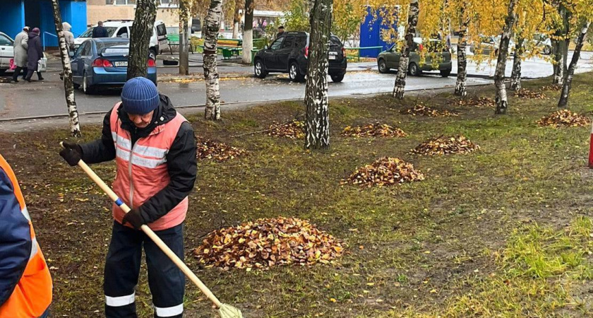 В Саранске продолжают очищать улицы от опавшей листвы и аварийных деревьев