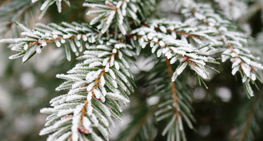 25 октября в Мордовии ожидается до -5 градусов