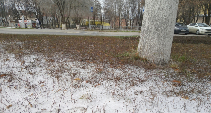 26 октября в Мордовии ожидается порывистый ветер и до -8