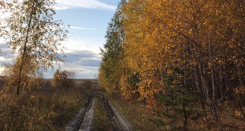 2 ноября в Мордовии ожидается облачность с прояснениями и до +13