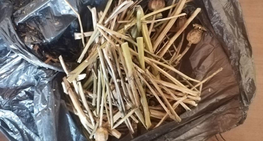 В Мордовии осудят 49-летнего мужчину, который нарвал себе маковой соломы