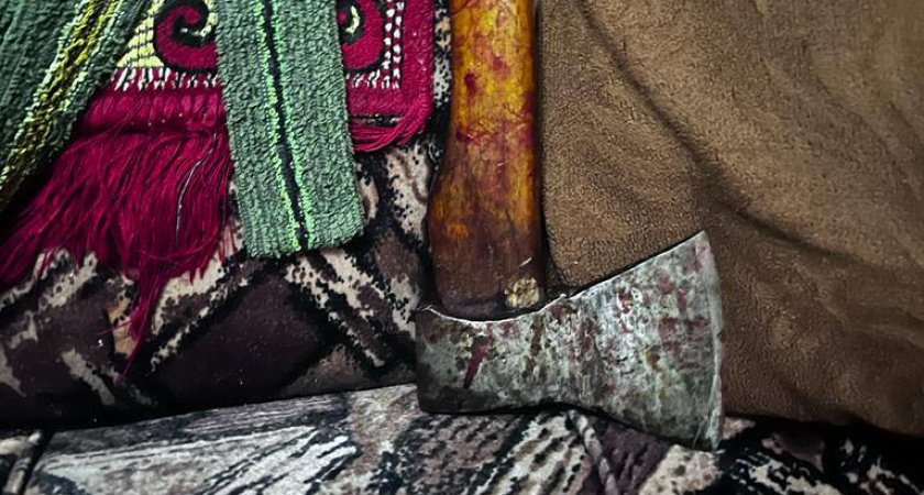 44-летнюю жительницу Рузаевки пытался зарубить топором хозяин квартиры в Москве