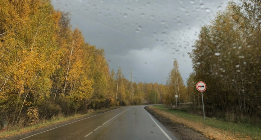 12 ноября в Мордовии ожидается дождь и до +8