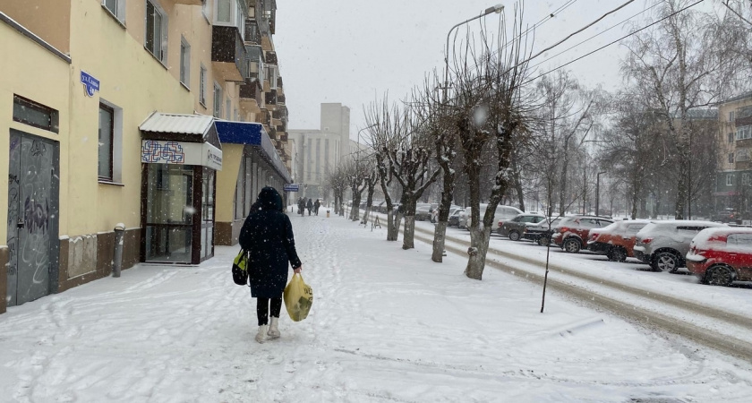 В Саранске в ближайшие часы прогнозируют сильный снегопад с метелью