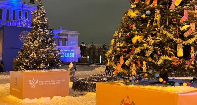 Мордовия представила новогоднюю елку на главной аллее ВДНХ