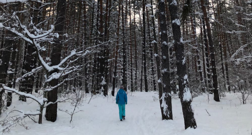 В Мордовии у школьников отменили занятия из-за сильных морозов