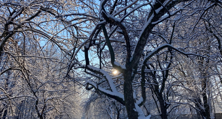 10 декабря в Мордовии ожидается ночной снегопад и -21