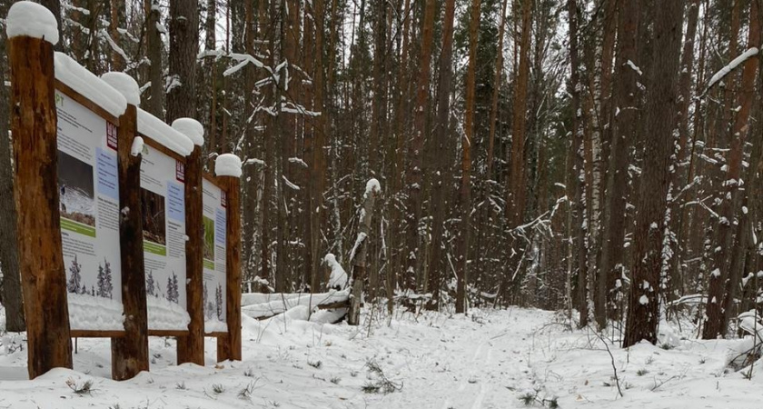 В Мордовии 5 января пройдет традиционный «Глухомань Фест»