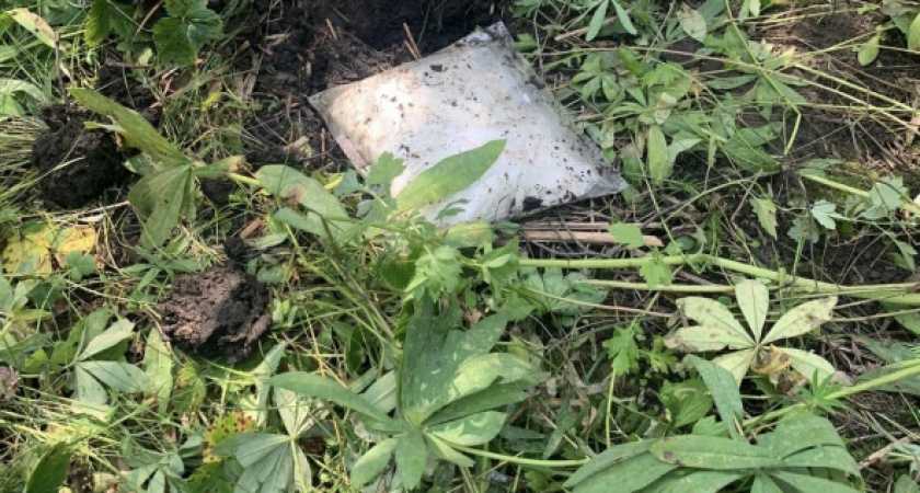 В Мордовии осудят 29-летнего жителя Санкт-Петербурга за сбыт наркотиков