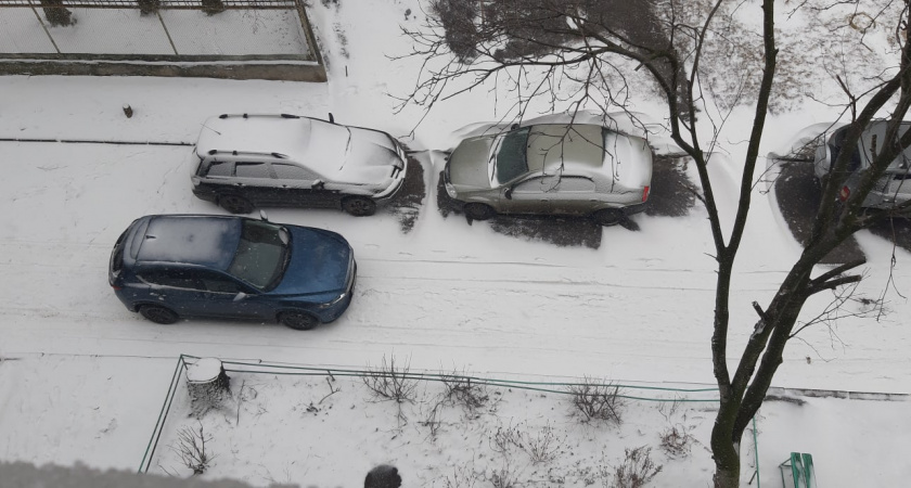 31 декабря в Мордовии ожидается метель и до -3