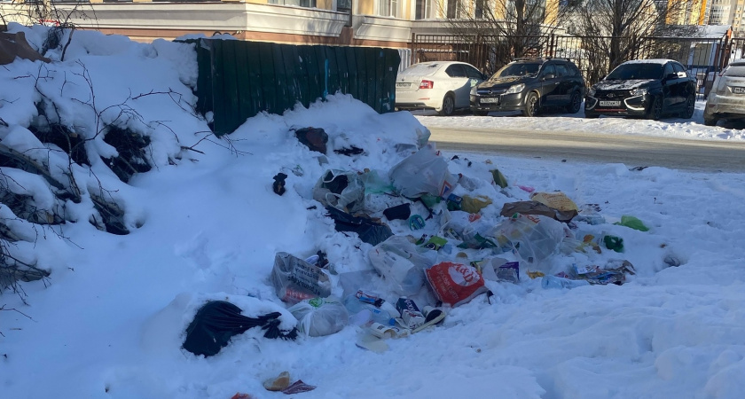 Ремондис отреагировал на жалобы жителей Саранска на гору мусора