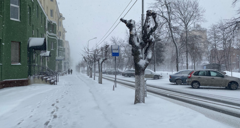 20 января в Мордовии ожидается метель и до +1