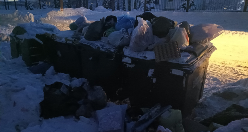 Жители Саранска массово жалуются на недостаточный вывоз мусора
